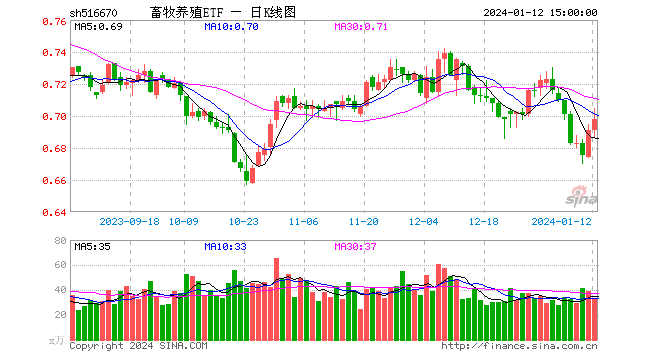 牧原股份等“大猪”领涨，畜牧养殖ETF（516670）涨超1%！12月出栏环比大增7.70%，业内预计1月或将减少